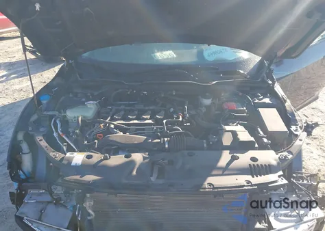 2019 Honda Civic Ex из США, поврежденный, VIN 2HGFC1F38KH651904